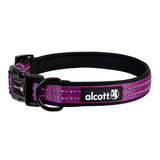 Alcott Adventure Collar - Purple - L