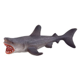 Underwater Treasures Grey Shark