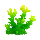 Underwater Treasures Acro - Green