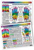 Inner Light Resources Original Laminated Charts Hand Reflex Chart (rainbow coded) eaches