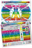 Inner Light Resources Original Laminated Charts Rainbow Chakra Chart (rainbow coded) eaches