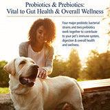 Rx Vitamins Essentials 1 Piece 2.12 oz/60.10g Biotic Powder for Pets, One Size
