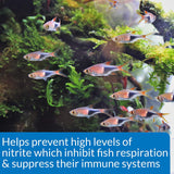 API Nitrite NO2 Test Kit Helps Prevent Fish Loss in Freshwater and Saltwater Aquariums