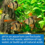 API pH Test and Adjuster Kit for Freshwater Aquariums
