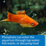 API Phosphate Test Kit for Freshwater and Saltwater Aquariums