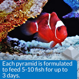 API Weekend Pyramid Fish Feeder up to 3 Days - 4 count