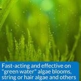 API AlgaeFix Controls Algae Growth for Freshwater Aquariums - 1.25 oz