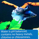 API Betta Water Add Fish Instantly - 31 oz
