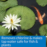 API Pond Chlorine and Heavy Metal Neutralizer Removes Chlorine - 16 oz