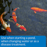 API Pond Pond Salt Natural Fish Tonic for Ponds - 9.6 lb
