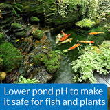 API Pond pH Down Lowers Pod Water pH Safe for Fish and Plants - 16 oz