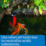 API Pond pH Up Raises Pond Water pH - 16 oz