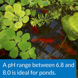 API Pond pH Up Raises Pond Water pH - 16 oz