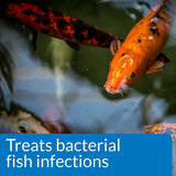 API Pond Melafix Treats Bacterial Infections for Koi and Goldfish - 16 oz
