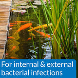 API Pond Pimafix Treats Fungal Fish Infections for Koi and Goldfish - 16 oz