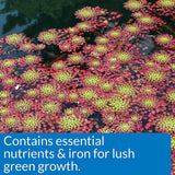 API Pond Aquatic Plant Food Tablets - 25 count