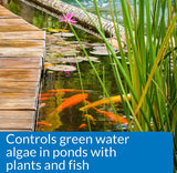API PondCare Microbial Algae Clean Alternative Approach to Algae Control - 16 oz