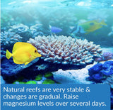 API Marine Magnesium Raises Magnesium Levels in Reef Aquariums - 16 oz