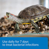 API Turtle Fix Treats Bacterial Infections - 4 oz