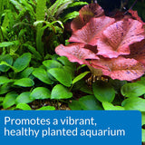 API CO2 Booster Promotes a Vibrant, Healthy Planted Aquarium - 16 oz