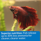 API Betta Food Floating Pellets - 1 oz