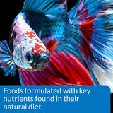 API Betta Food Floating Pellets - 1 oz