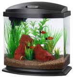 Aqueon LED MiniBow 2.5 SmartClean Aquarium Kit Black - 2.5 gallon