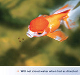 Aqueon Color Enhancing Goldfish Granules - 3 oz