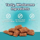 Blue Buffalo Bursts Cat Treats Savory Seafood - 2 oz