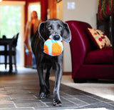Chuckit Indoor Ball Toy for Dogs