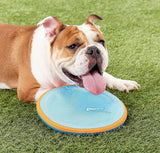 Chuckit Paraflight Disc Dog Toy