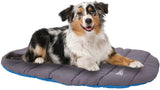 Chuckit Travel Dog Bed Blue and Gray