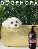 Dogphora First Dog of Fashion Conditioner - 16 oz