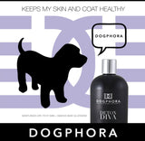 Dogphora Detox Diva Shampoo for Dogs - 16 oz