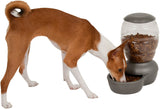 Petmate Replendish Pet Feeder with Microban Pearl Silver Gray - Small