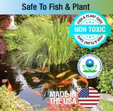Microbe-Lift Pond Algaway 5.4 Algaecide for Ponds Stops Algae Growth - 8 oz