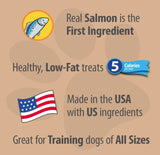 Emerald Pet Little Chewzzies Soft Training Treats Salmon Recipe - 5 oz