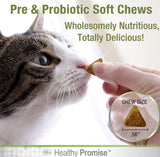 Four Paws Healthy Promise Pre and Probiotic Supplement for Cats - 90 count