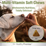 Four Paws Healthy Promise Multi-Vitamin Supplement for Dogs - 120 count