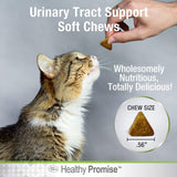 Four Paws Healthy Promise Urinary Tract Health Supplements for Cats - 110 count