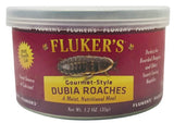 Flukers Gourmet Style Dubia Roaches - 1.2 oz