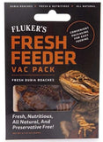 Flukers Dubia Roach Fresh Feeder Vac Pack - 0.7 oz