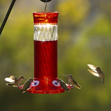 More Birds Diamond Glass Hummingbird Feeder
