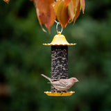 More Birds Little Bit Finch Screen Feeder