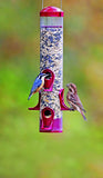 More Birds Seed Tube Songbird Feeder