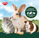 Kaytee All Natural Alfalfa Hay for Rabbits, Guinea Pigs and Small Animals - 24 oz