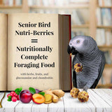 Lafeber Senior Bird Nutri-Berries Parrot Food - 10 oz