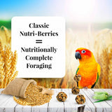Lafeber Classic Nutri-Berries Conure Food - 10 oz