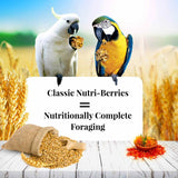 Lafeber Classic Nutri-Berries Macaw and Cockatoo Food - 3.5 lb