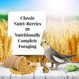 Lafeber Classic Nutri-Berries Cockatiel Food - 4 lb